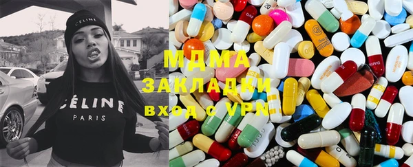 ПСИЛОЦИБИНОВЫЕ ГРИБЫ Дмитриев