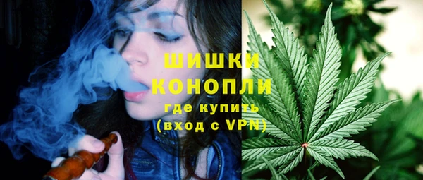 ПСИЛОЦИБИНОВЫЕ ГРИБЫ Дмитриев