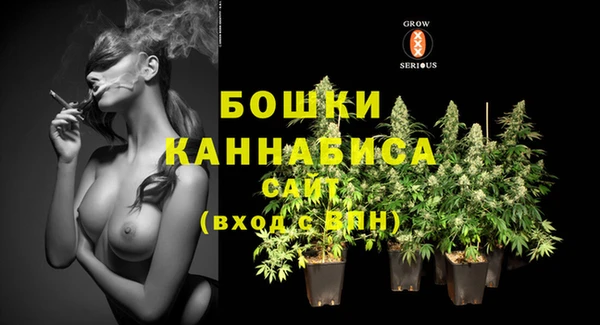 МДМА Ельня