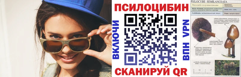 Псилоцибиновые грибы Psilocybine cubensis  магазин продажи   hydra сайт  Завитинск 